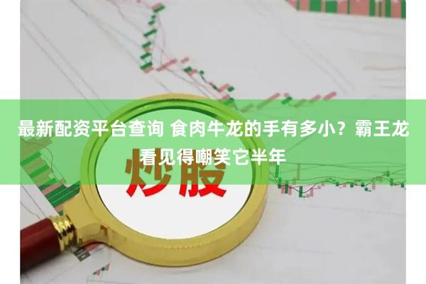 最新配资平台查询 食肉牛龙的手有多小？霸王龙看见得嘲笑它半年